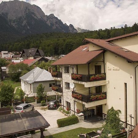 Hotel The Ghetto Buşteni Exterior foto